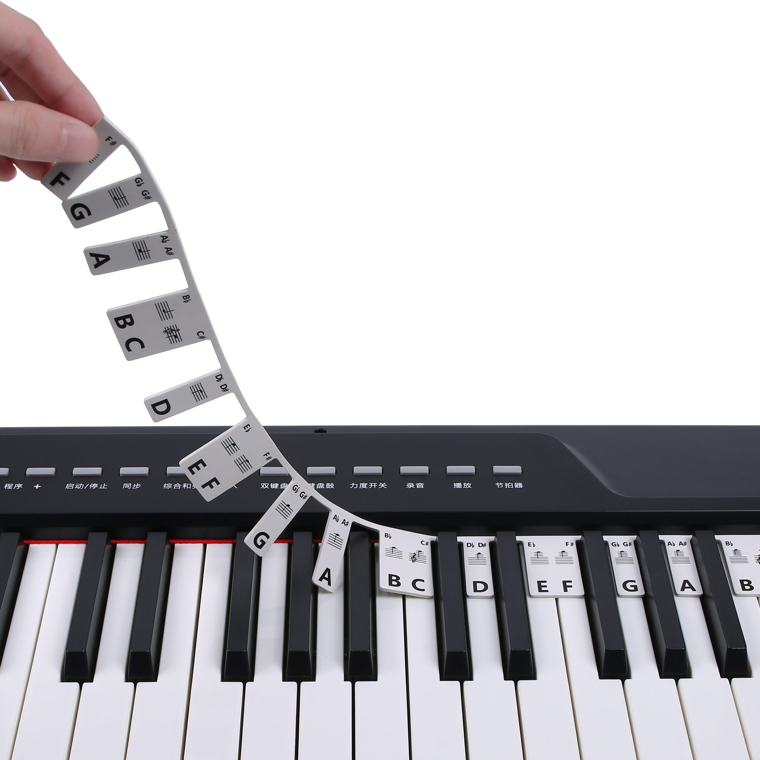 Free Paste Overlay Type 61 / 88 Keys Piano Note Marker Silicone Strips for Beginners / Kids, No Glue Practice Sticker Free Paste Overlay Type 61 / 88 Keys Piano Note Marker Silicone Strips for Beginners / Kids, No Glue Practice Sticker