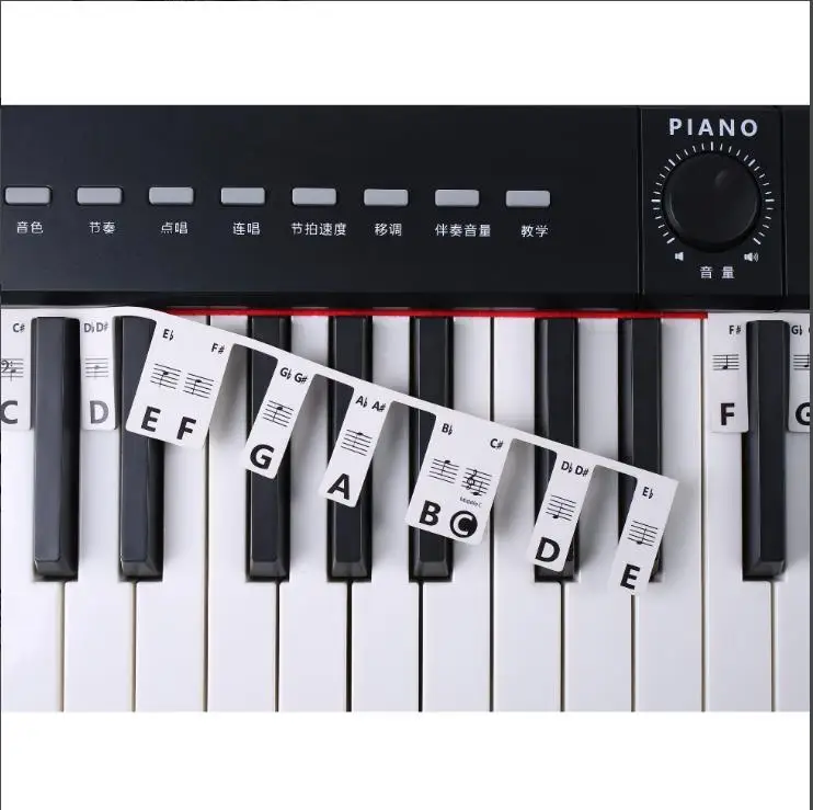 Free Paste Overlay Type 61 / 88 Keys Piano Note Marker Silicone Strips for Beginners / Kids, No Glue Practice Sticker Free Paste Overlay Type 61 / 88 Keys Piano Note Marker Silicone Strips for Beginners / Kids, No Glue Practice Sticker